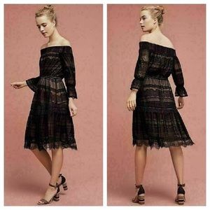 Anthropologie HD in Paris Black Lace Dress